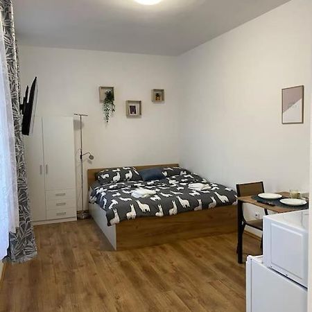 Cozy 1 Bedroom Studio In The Center Of Pilsen Exterior photo
